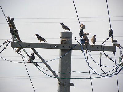 DSCN4242.jpg