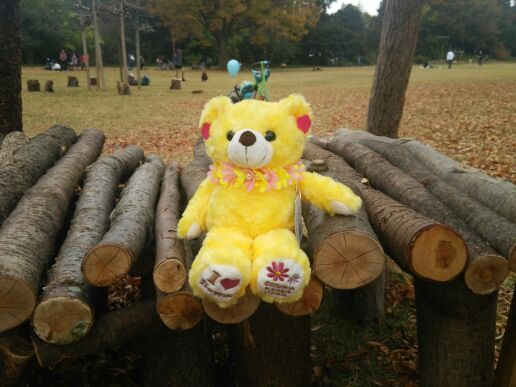 ご当地ﾍﾞｱ🐻昭和記念公園フラワーベア | 3年ぶりにブログ再開！自分