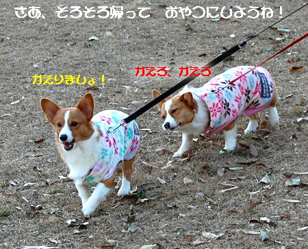 022407.jpg