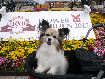 2012横浜1-7.JPG
