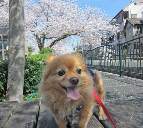 2015.4.12-5.jpg
