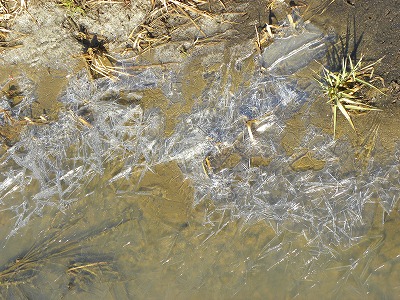 DSCN7355.jpg