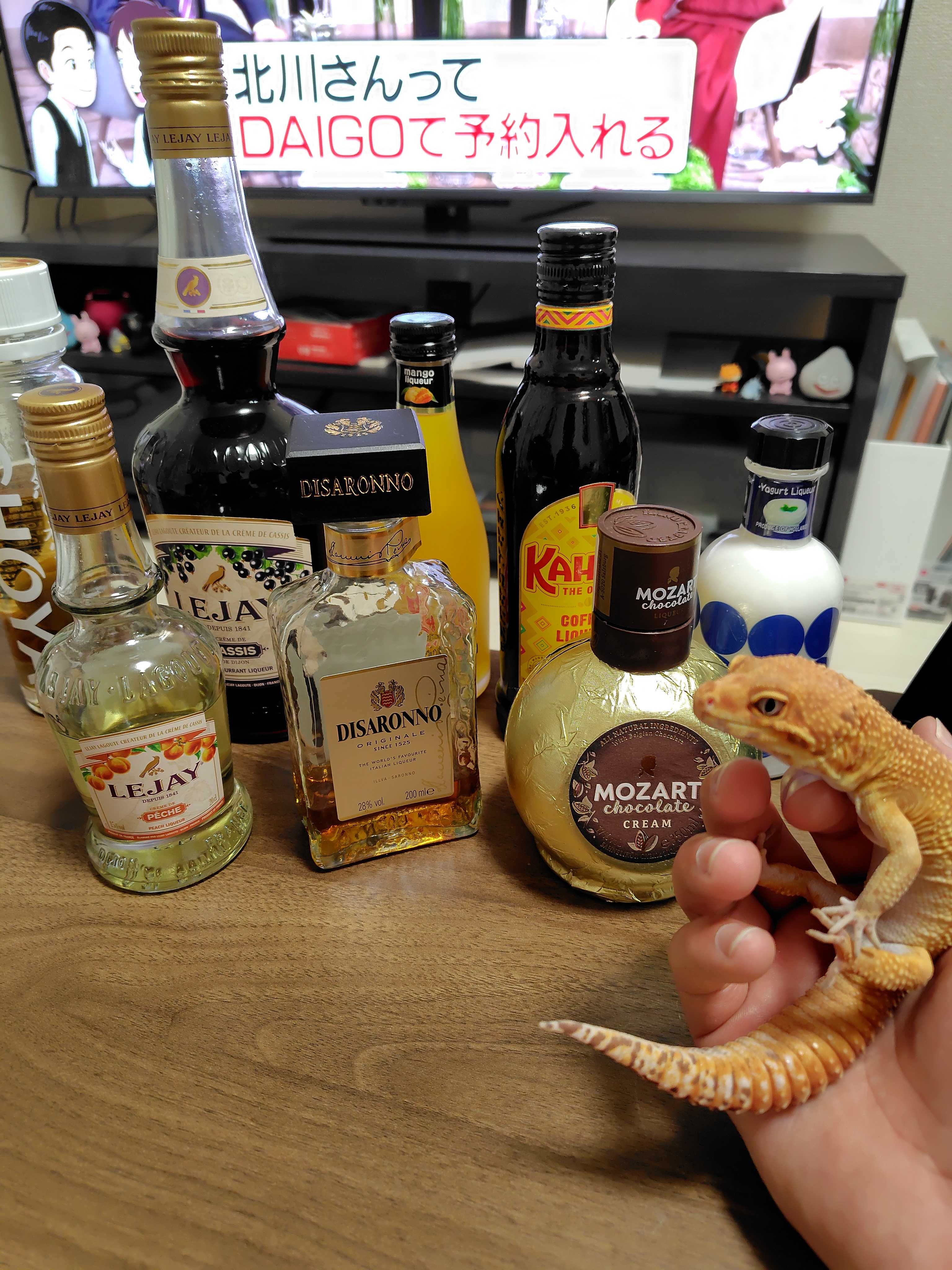 しがない現場監督のレオパ飼育ブログ