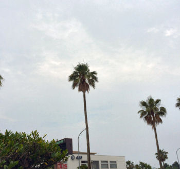 梅雨空