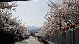 IMG_5937.jpg