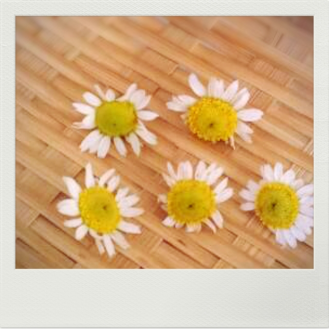 2014-05-31-17-43-42_deco.jpg