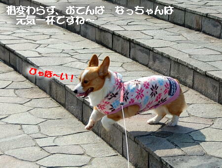 031504.jpg