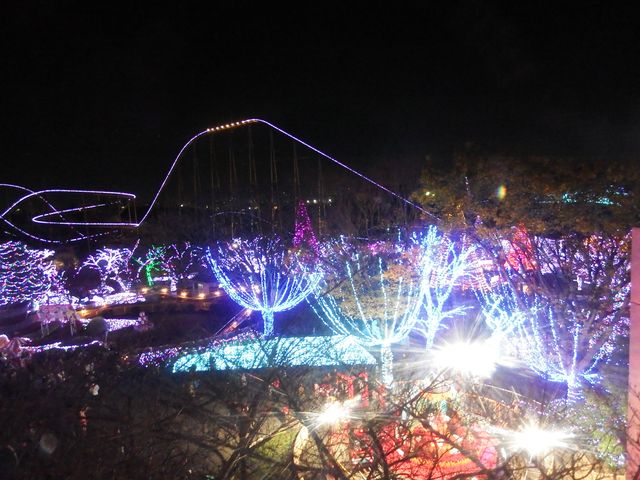 DSCF3526.JPG