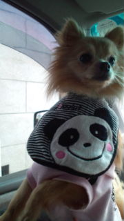 20120209121342.jpg