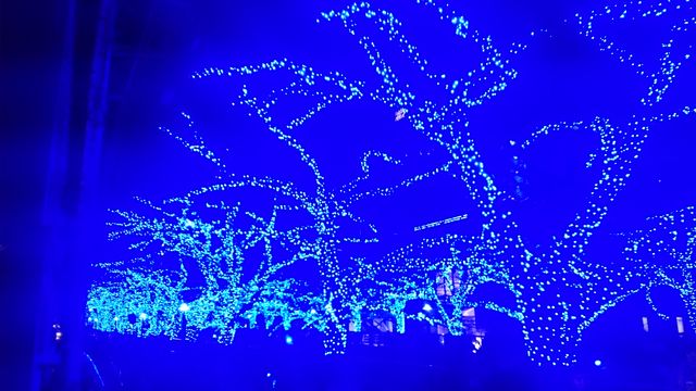 2014-12-06 17.36.42.jpg