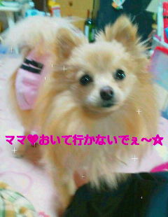 20120212090654.jpg