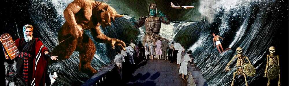 耳（ミミ）とチャッピの布団