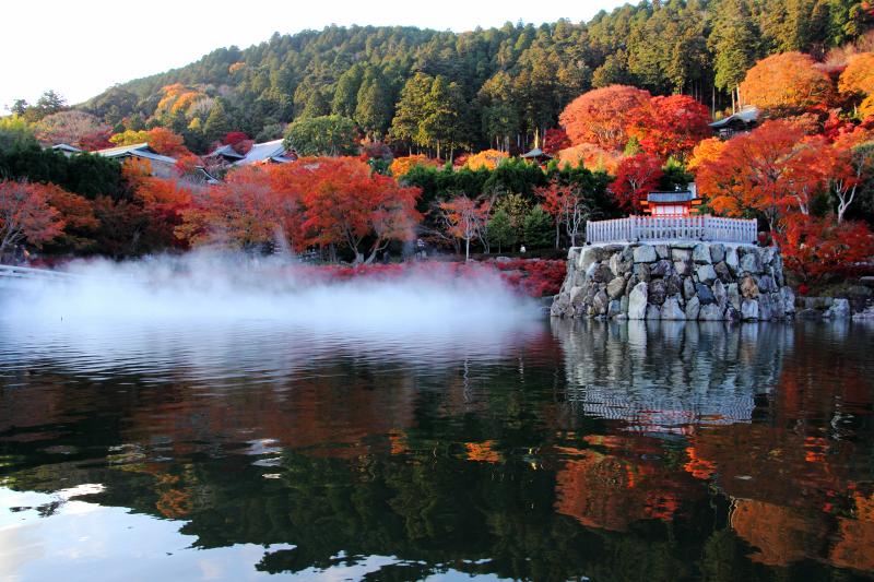 １ ４４１ 勝尾寺その６ Huちゃん 写真日記 楽天ブログ