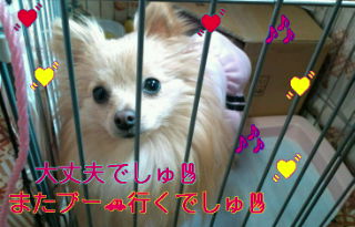 2012-03-04 11:45:15