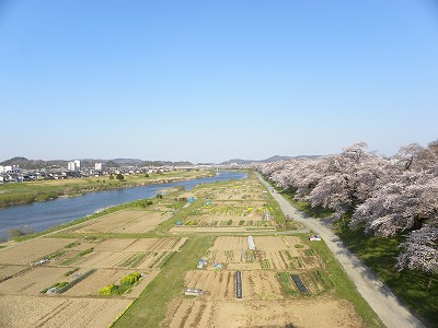 DSCN8172.jpg