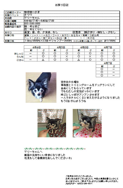 2016.4.8-4.jpg