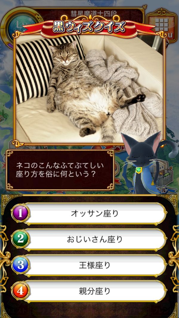 黒猫のウィズ ネコのこんなふてぶてしい座り方を俗に何という 黒猫のウィズ さゆゆのゲーム日記 黒ウィズクイズ ブログ内検索は さゆゆ スペース文字検索でおねがい 楽天ブログ