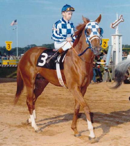 セクレタリアト ヒロの乗馬ライフ 楽天ブログ