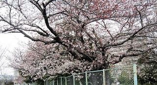 IMG_5757@.jpg