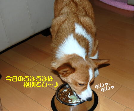032705.jpg