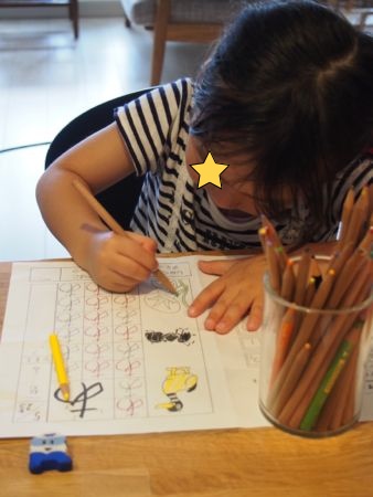 ワイヤーカゴ つぼ 楽天ブログ