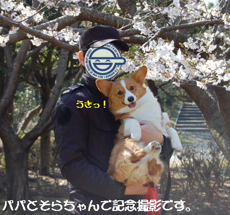 040909.jpg