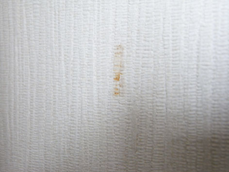シード 壁の汚れ隠し ホワイト アイボリー Tatsuyatsutaya S Blog 楽天ブログ