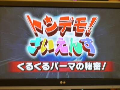 トンデモ実験『爆発パーマ』は可能か？？？ | 気ままなＬＵＮＣＨ 