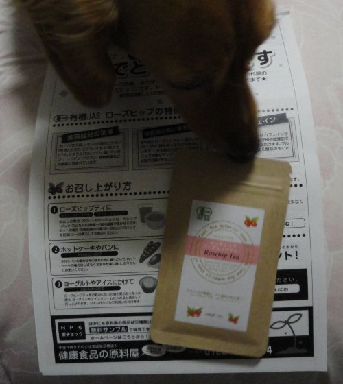 これおいしい?