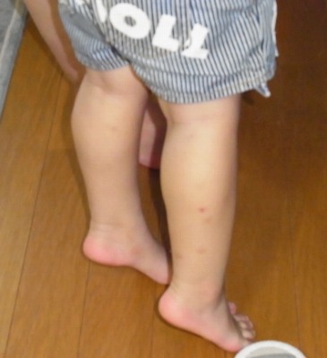 RIMG0099.jpg