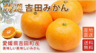 吉田みかん応募