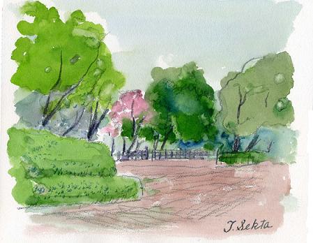 新緑の中央公園 | 水彩画 ぶらりスケッチ (熊谷：関田） - 楽天ブログ