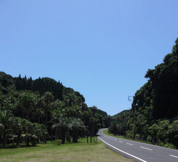 お出かけ