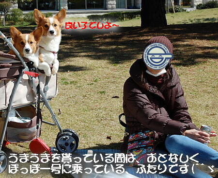 041104.jpg