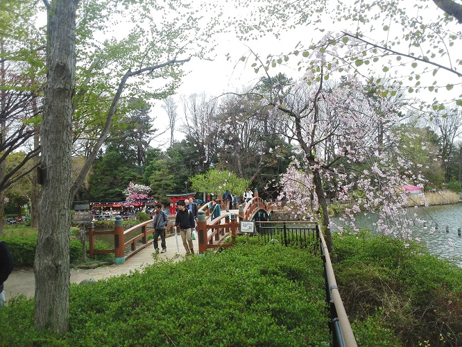 senzokuke7