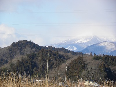 DSCN7403.jpg