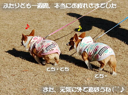 020508.jpg