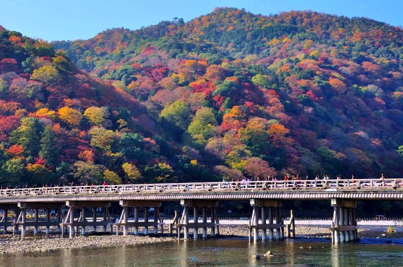 11月8日 嵐山もみじ祭 明日の京都 観光と宿泊情報のブログ 楽天ブログ