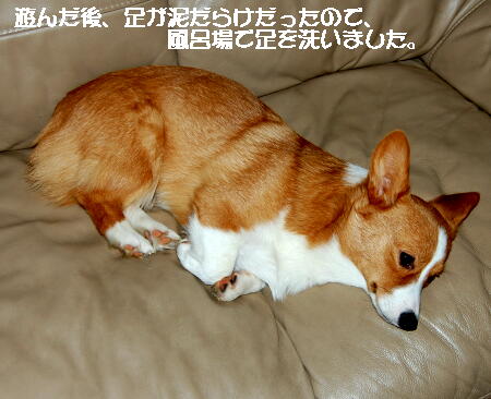 030407.jpg