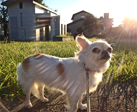 2013.10.10-1.jpg
