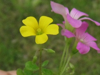 2010_0528_124811-IMG_8838.jpg