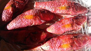 IMAG2316.jpg