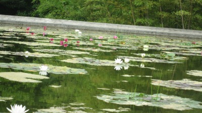 IMG_7907.jpg