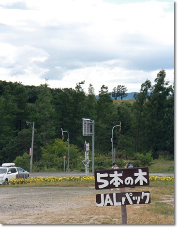 嵐の５本の木 と ジェットコースターの路 Torteといっしょ Life With トルテ 楽天ブログ