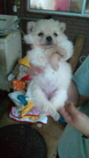 20110512155249.jpg