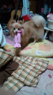 20120130205504.jpg