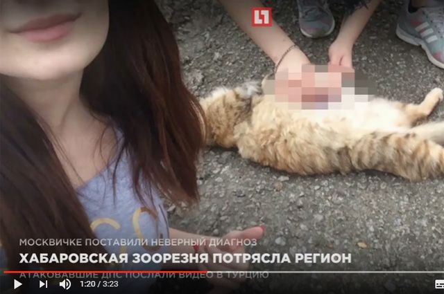 ハバロフスクで少女らが動物虐待 住民はプーチン大統領に厳重処罰を訴え 里親探しサイトを悪用 ままくんカフェ 楽天ブログ