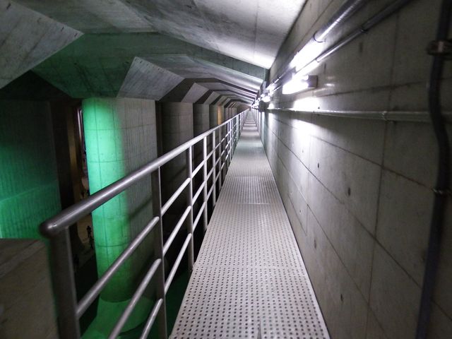 DSCF3275.JPG