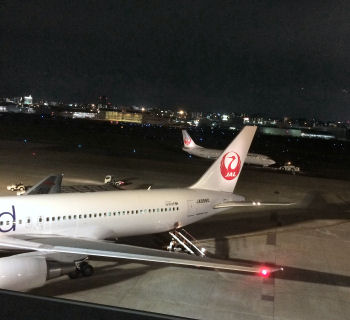 夜