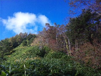 恵那山